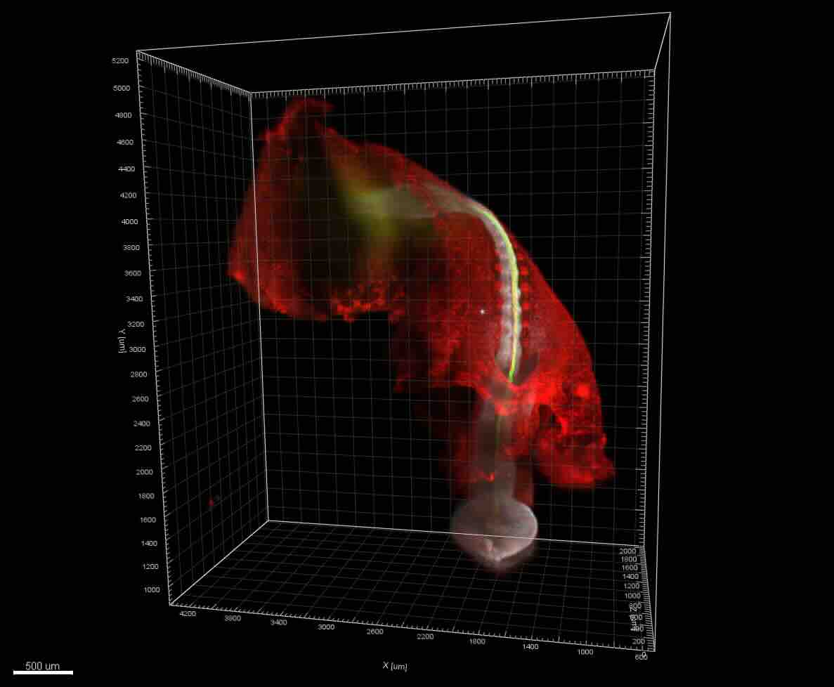 span style color: var --secondary Our Research span