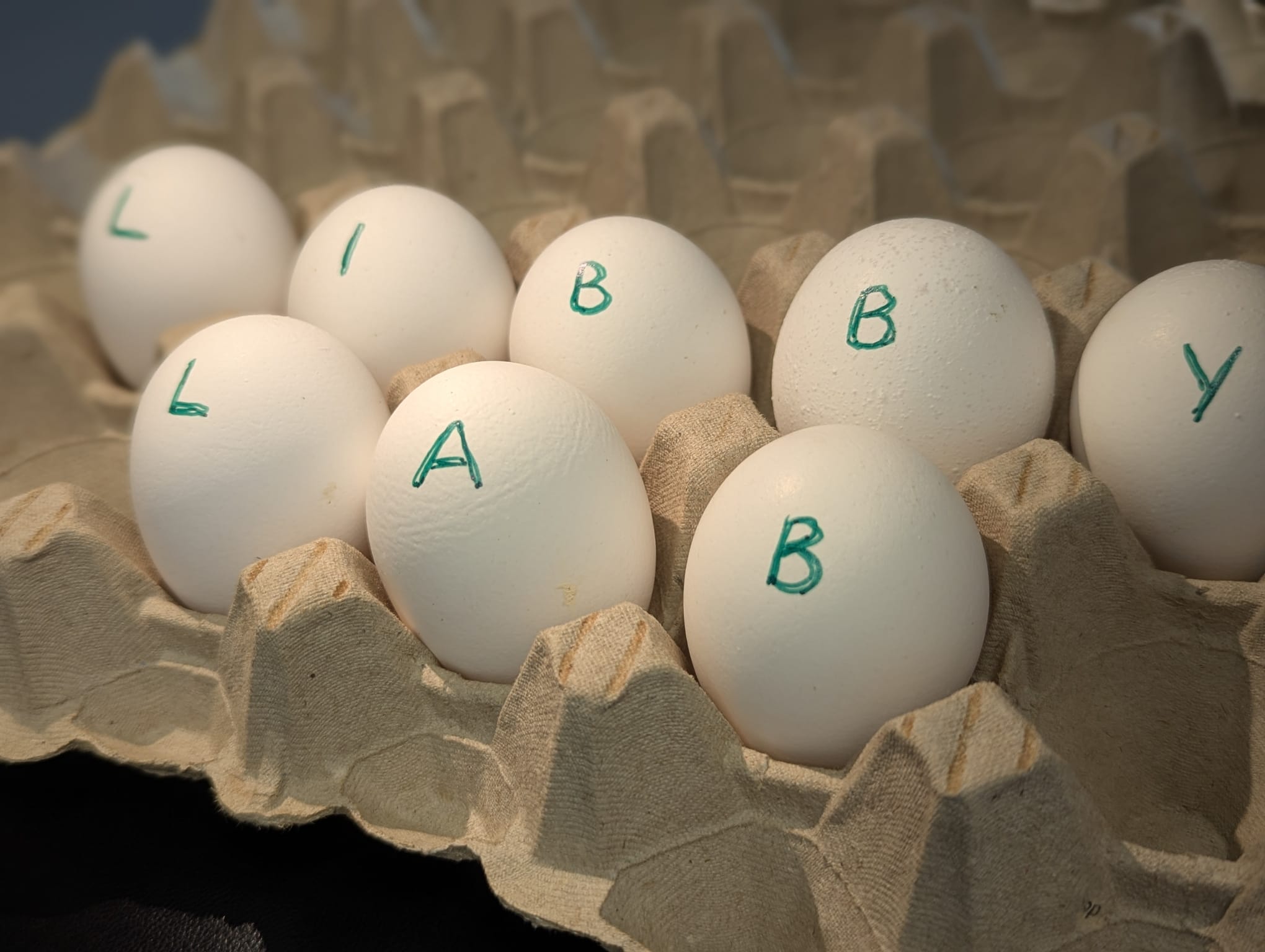 span style color: var --secondary Our Team span