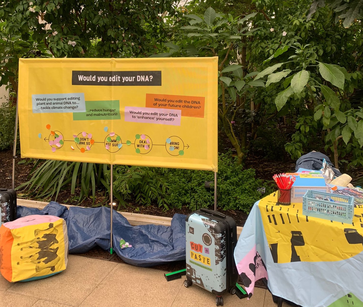 Genome Editing at the Kew