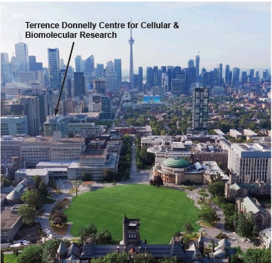 University of Toronto